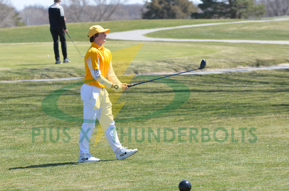 JV Invite-boys golf (3)