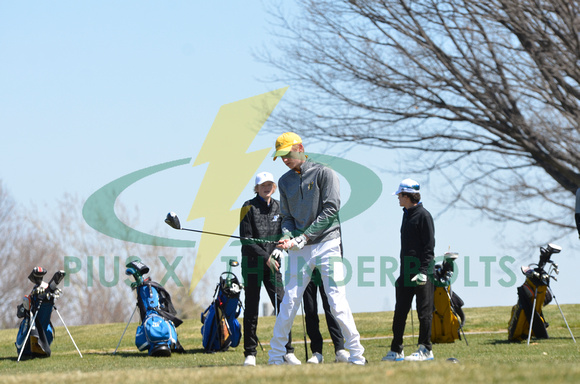 JV Invite-boys golf (5)