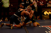 1-11 Tracy (13)