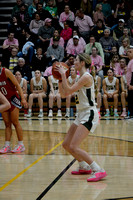 1-31 allie (154)