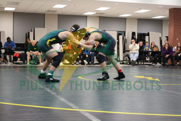 12-3 green vs gold luella (15)
